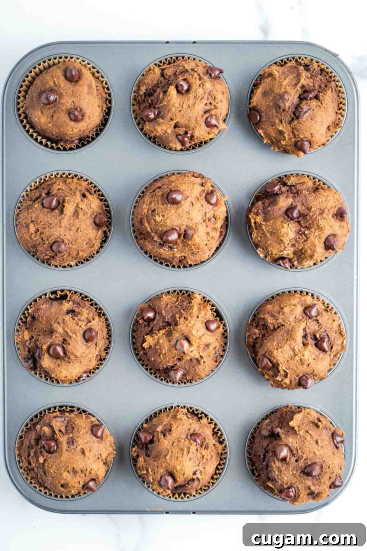 Double chocolate chocolate chip muffins in the baking tin.