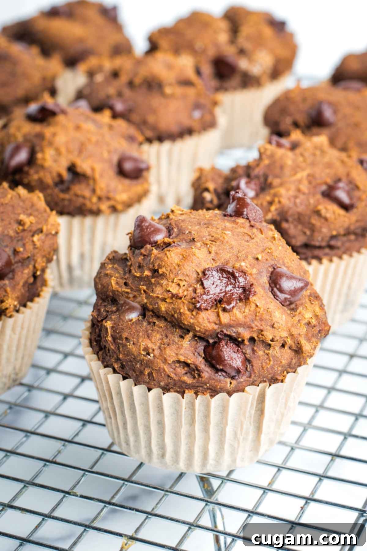 Nicely risen chocolate chocolate chip muffin cooling on a wire rack.