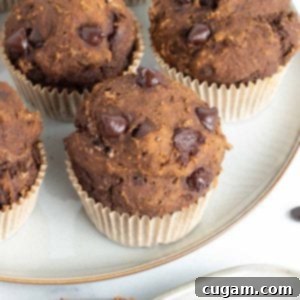 Double chocolate chocolate chip muffin, close up.
