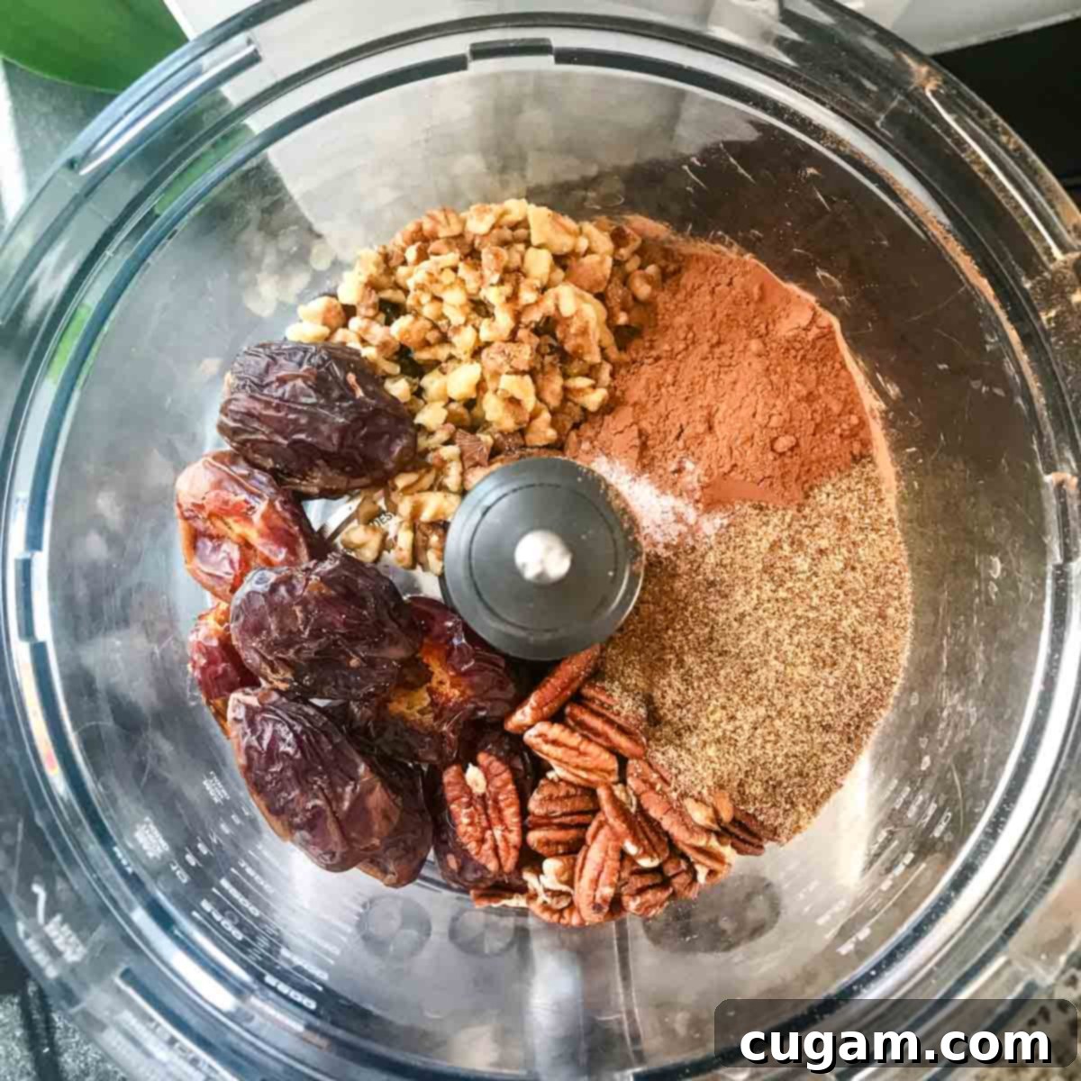 Ingredients in sections: cocoa powder, dates, walnuts, pecans, ground flax, spices.