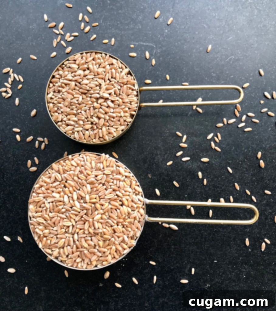 Whole Wheat Berries, ready to be ground into fresh flour