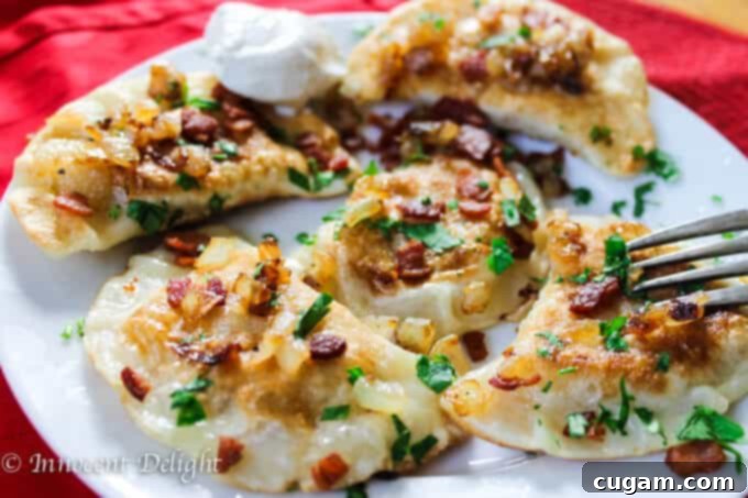 authentic polish pierogi with potatoes and cheese
