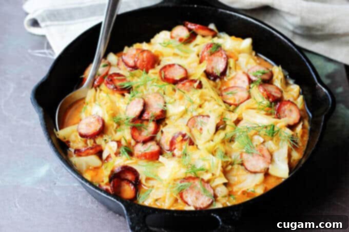 Cabbage and Kielbasa come together to form a perfect Polish summer hunter's stew. It's made from young cabbage, that is at its peak at the begging of the summer, with the addition of a smoky Polish sausage and a fragrant dill. It makes for a delicious European treat.