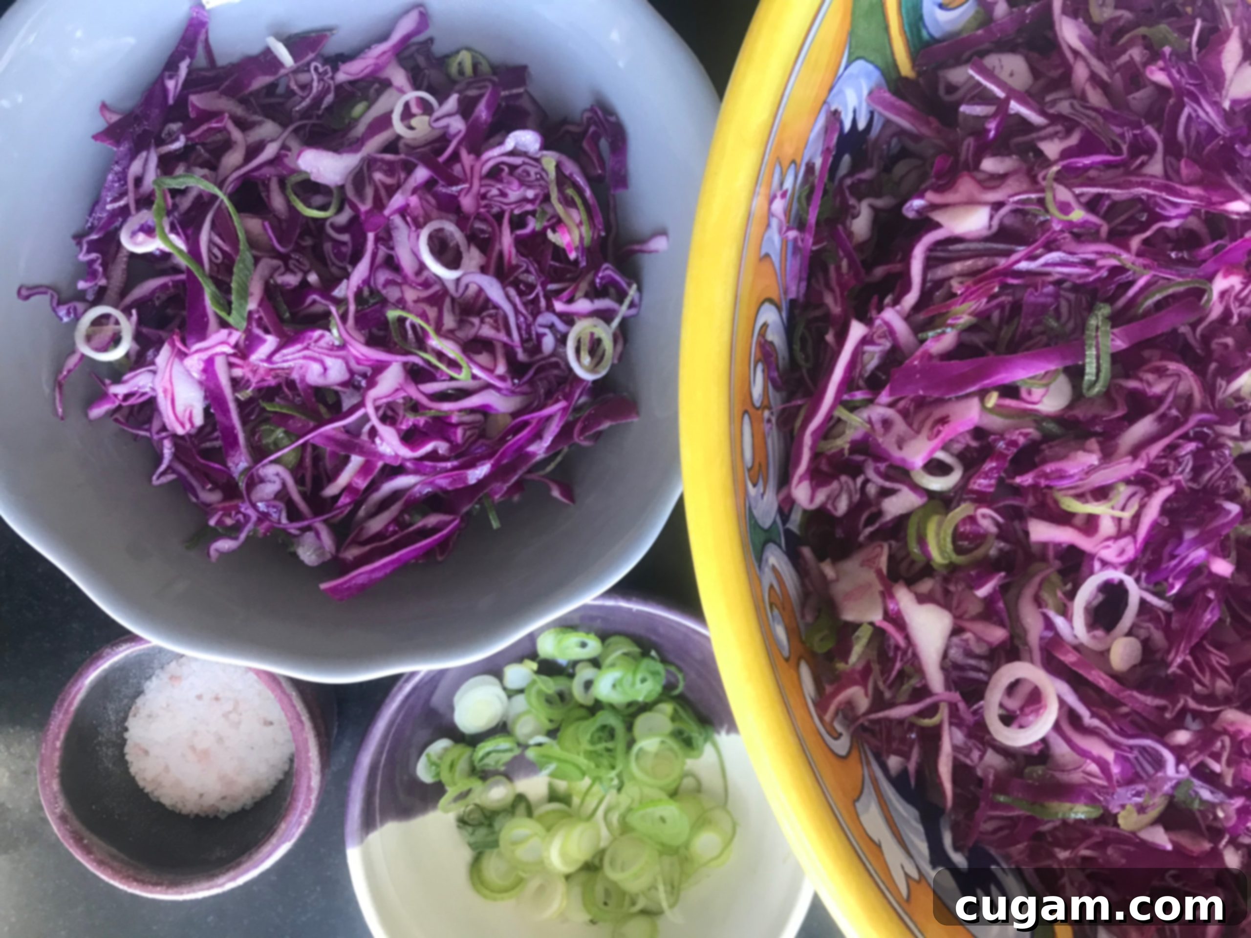 Chopped cabbage and scallions in a big bowl and a smaller one.