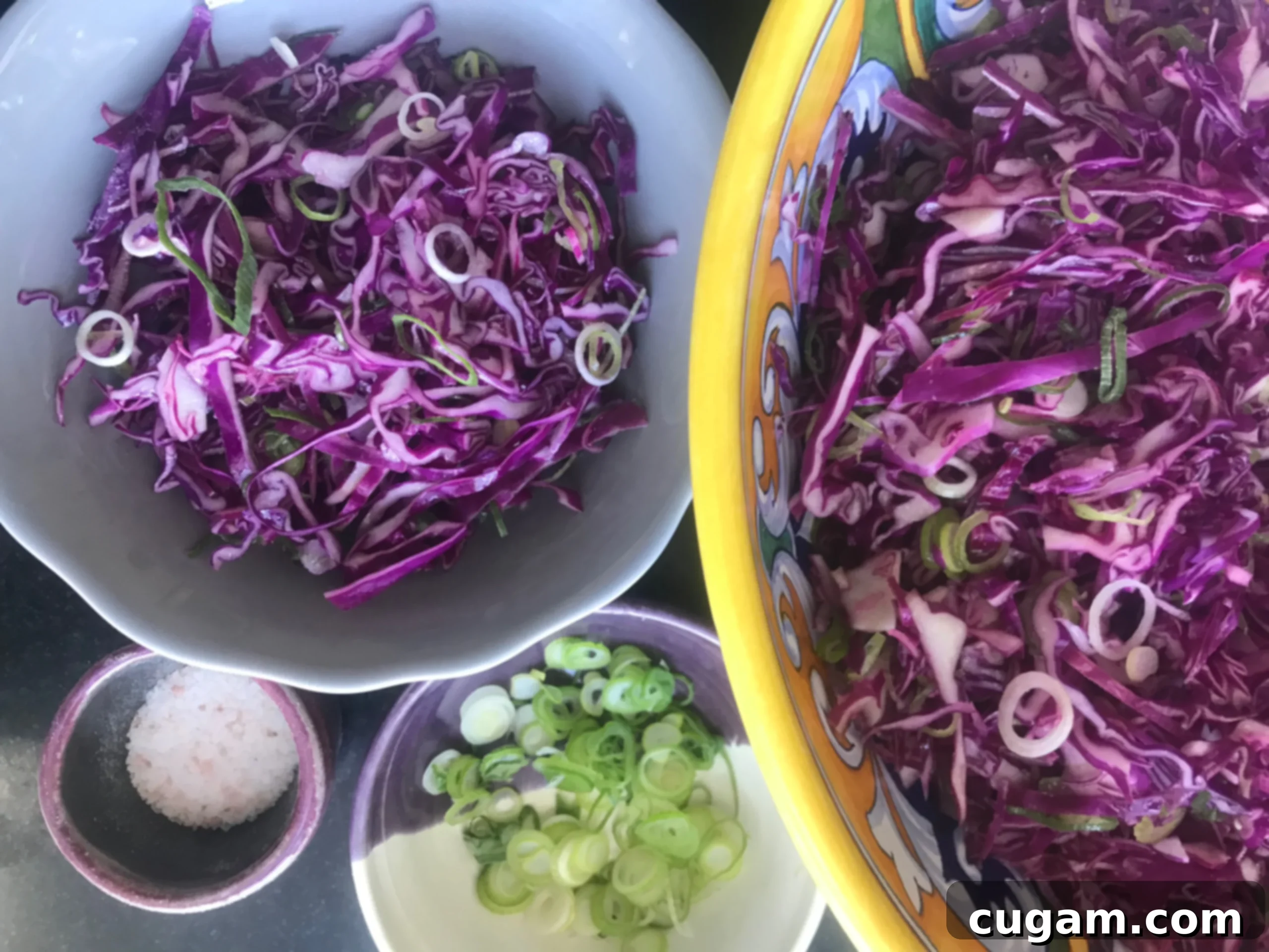 Chopped cabbage and scallions in a big bowl and a smaller one.