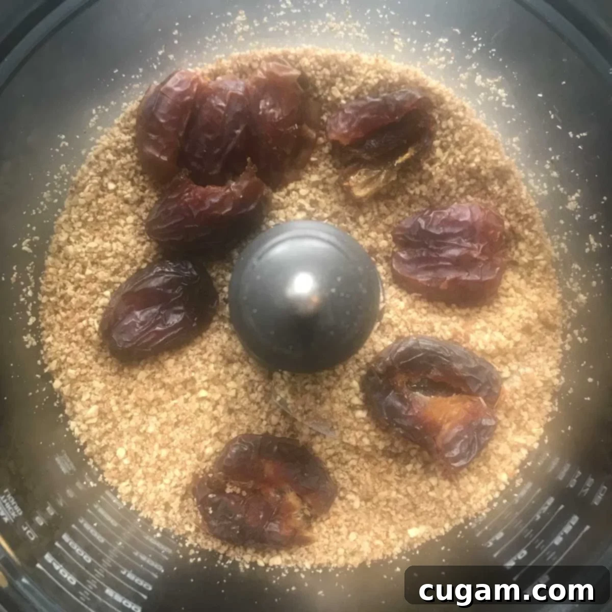 Food processor with ground pecans and whole, pitted dates. 
