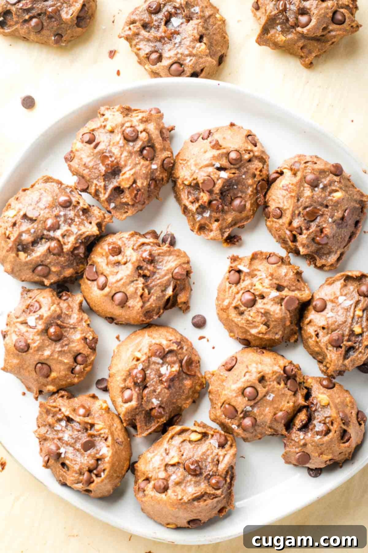 A plate brimming with decadent double chocolate chip cookies, with a few extra cookies scattered on the side, inviting you to grab one.