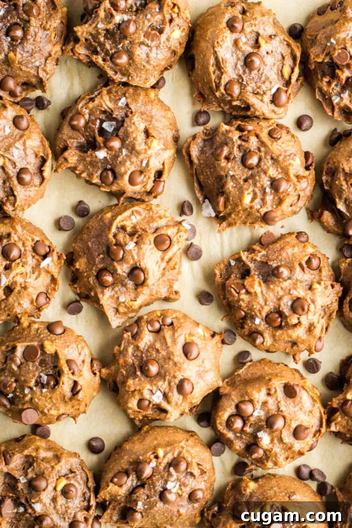 Rows of freshly baked double chocolate chip cookies, still on the baking tray lined with parchment, with visible melted chocolate chips.