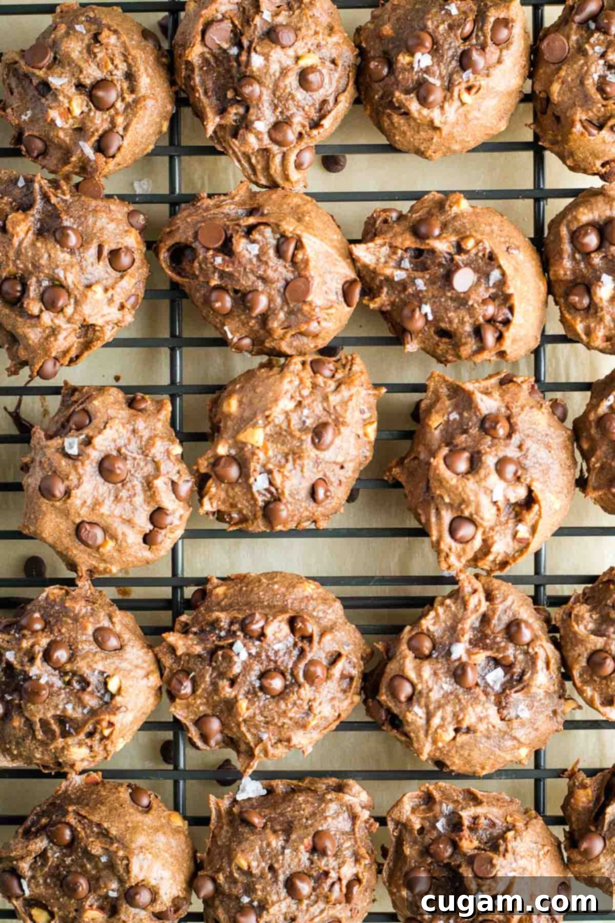 Delicious double chocolate chip cookies arranged on a wire rack to cool completely.