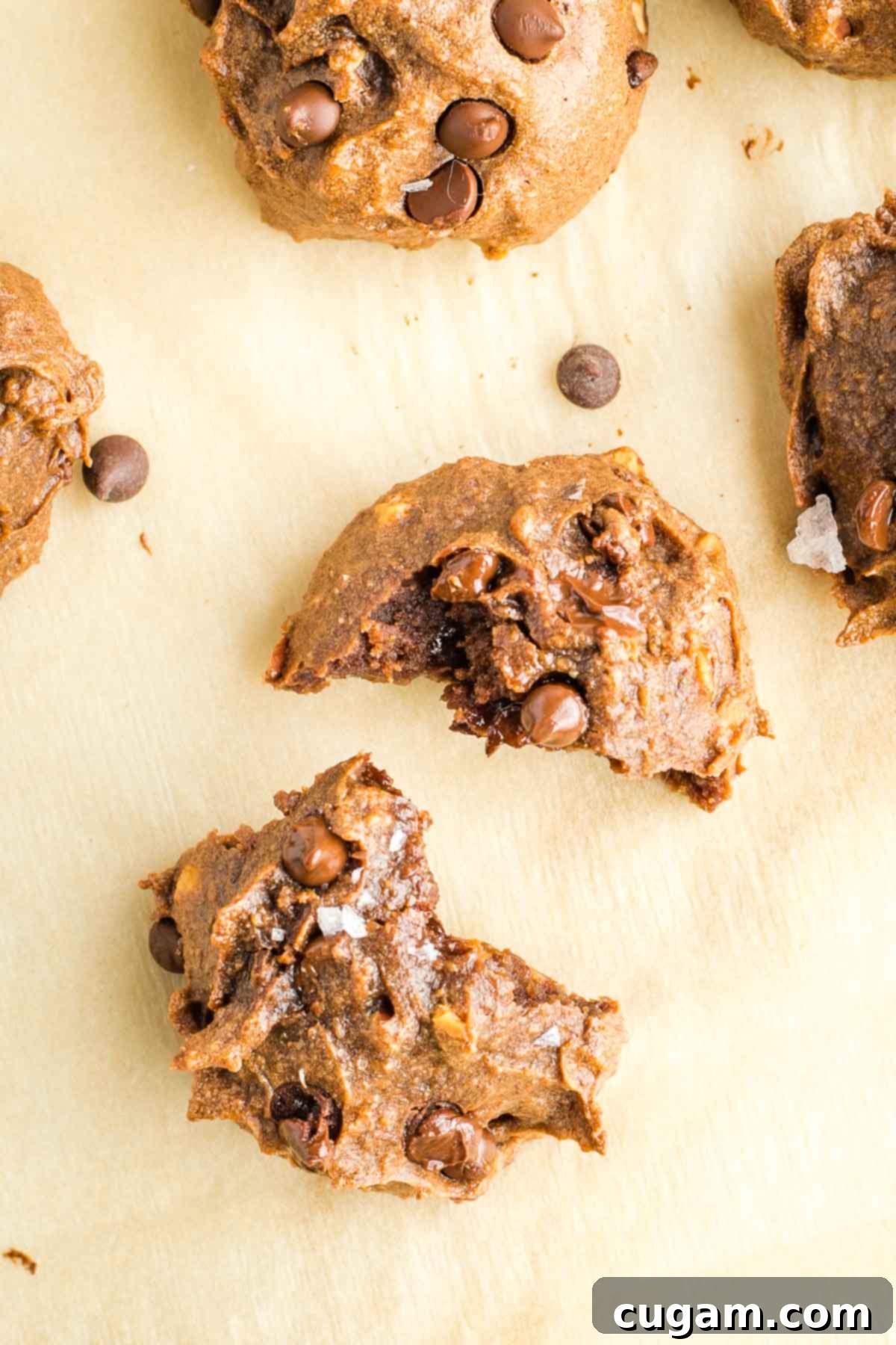 A perfectly baked double chocolate chip cookie, broken in half to reveal its fudgy interior and melted chocolate chips, sprinkled with flakey sea salt.
