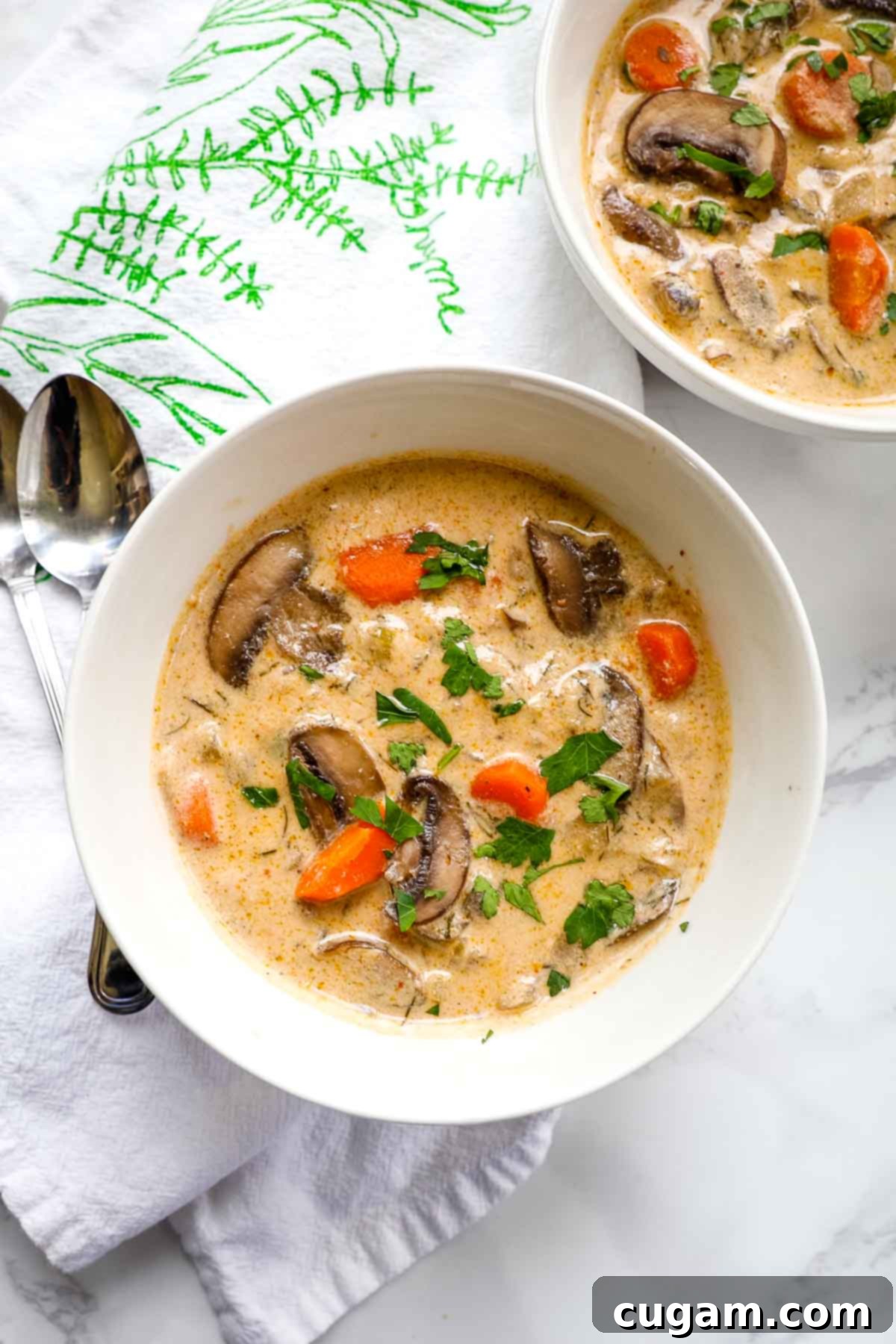 Dairy free cream of mushroom soup with chunks of carrots, mushrooms and herbs.