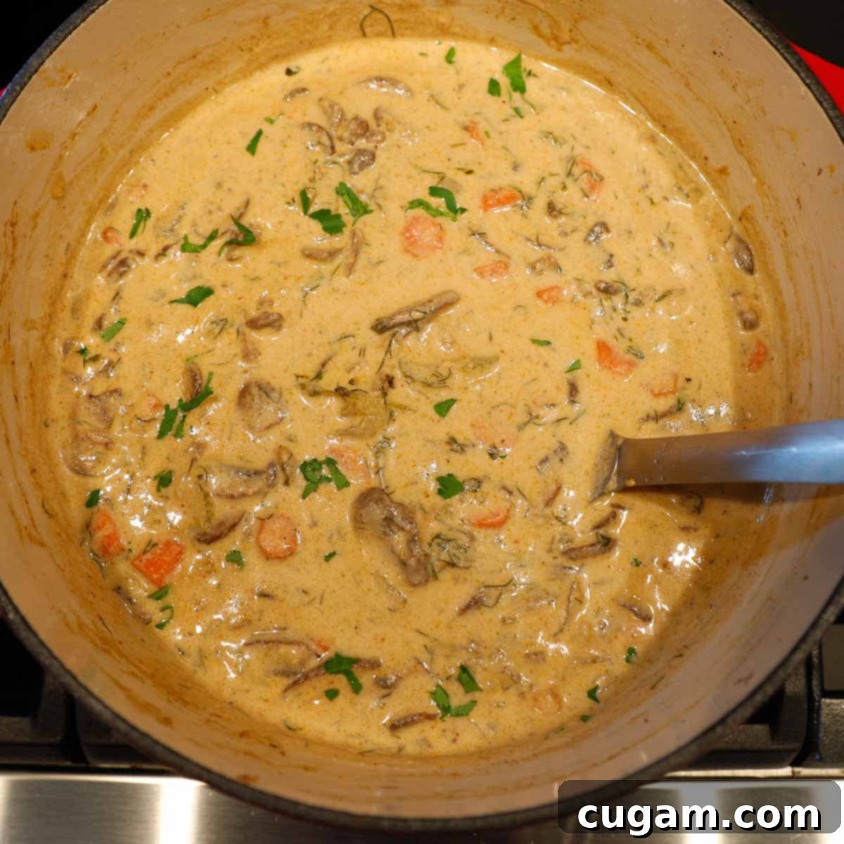 Creamy, chunky mushroom soup in a dutch oven.