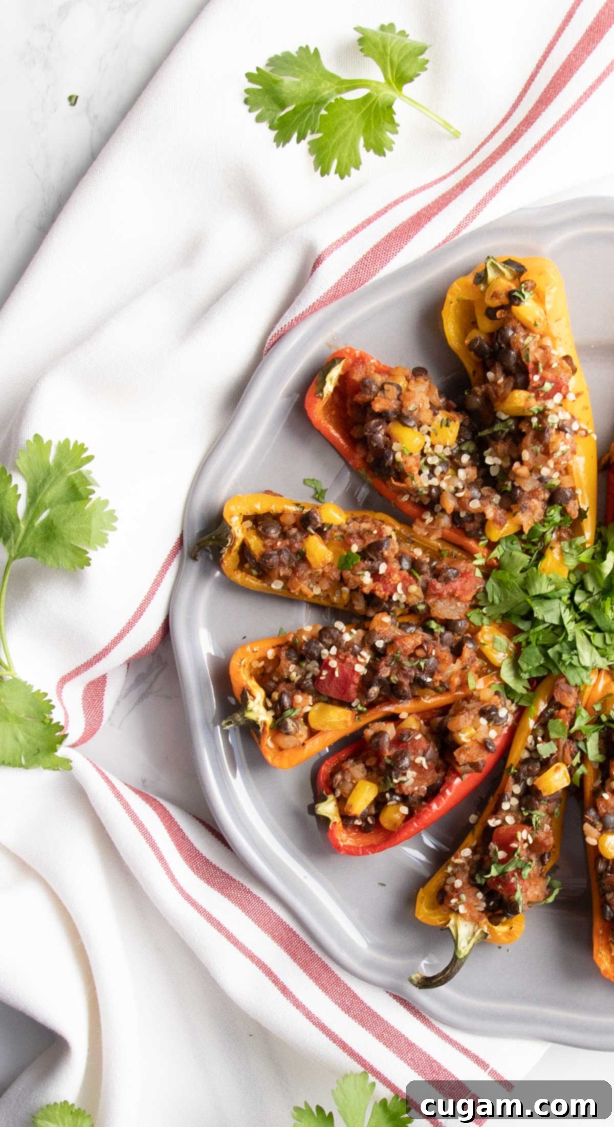 A plate of lentil stuffed mini peppers garnished with cilantro.