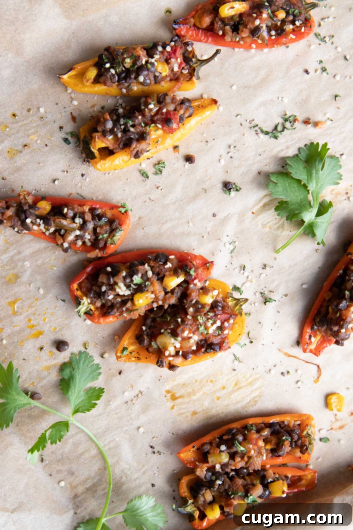 Bit Sized Vegan Stuffed Peppers.