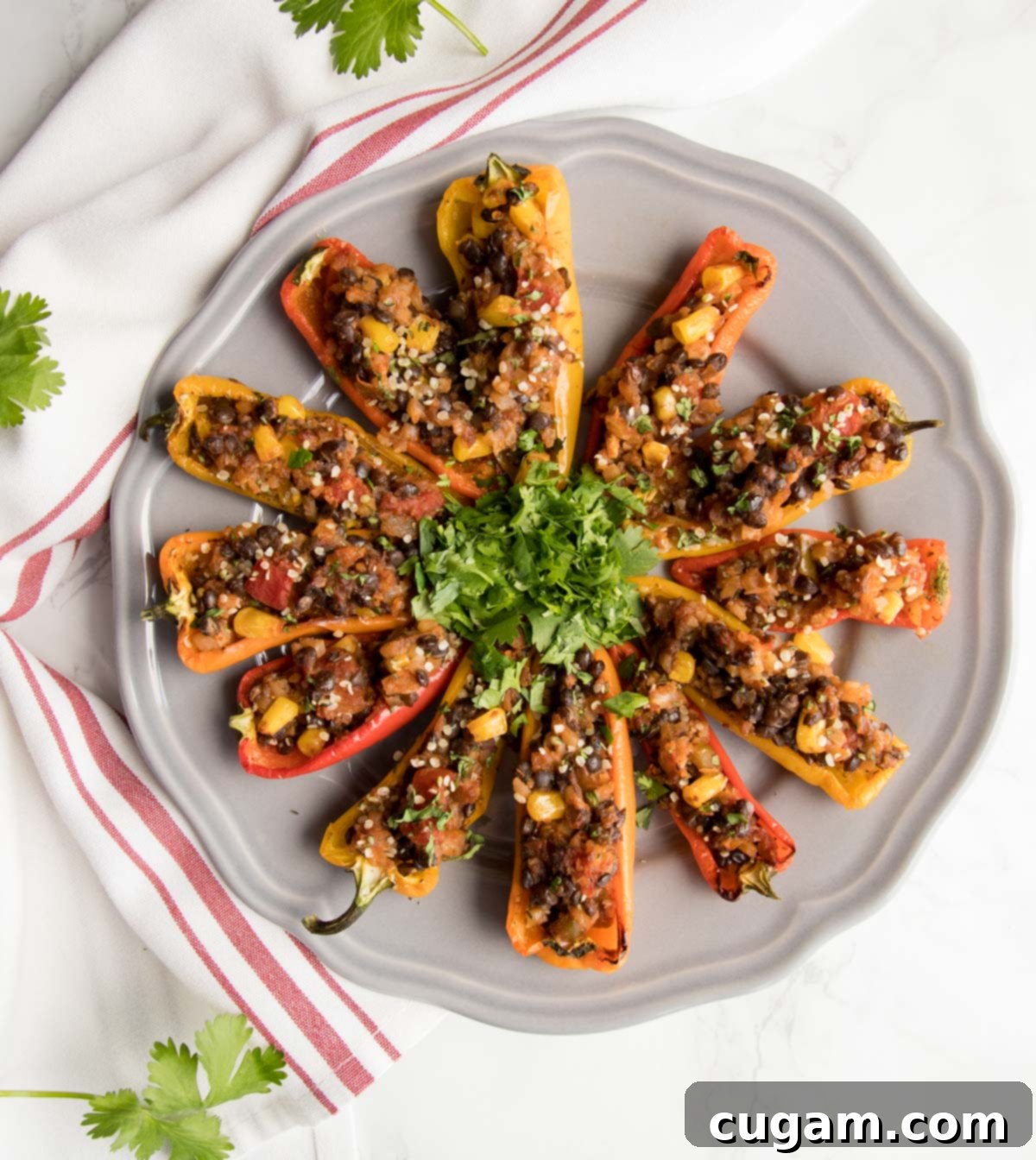 Mini peppers stuffed with a mixture of lentils, cauliflower rice and corn. 