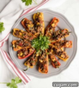 Lentil stuffed mini peppers