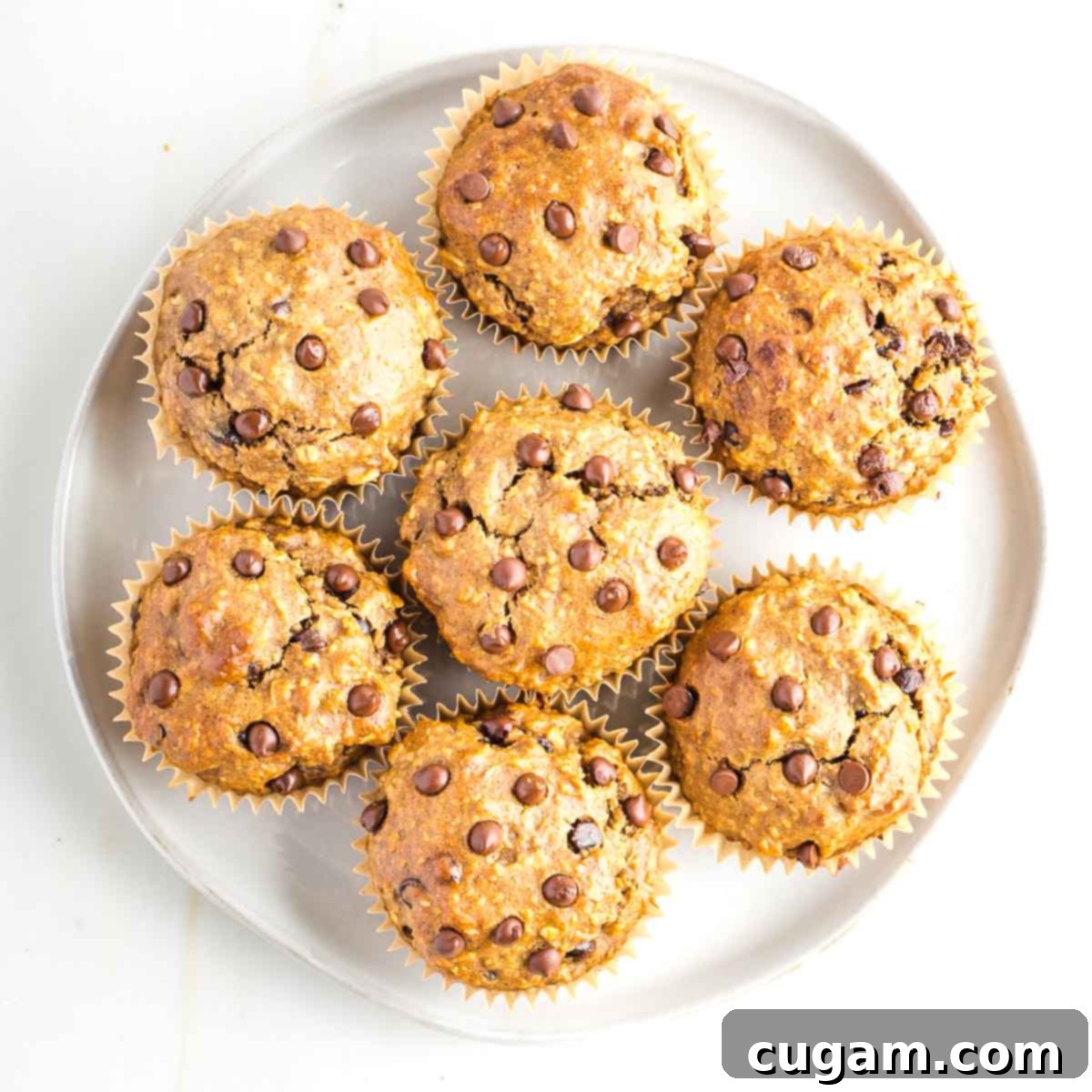 Three perfectly baked gluten-free banana chocolate chip muffins, showcasing their fluffy and moist interior.