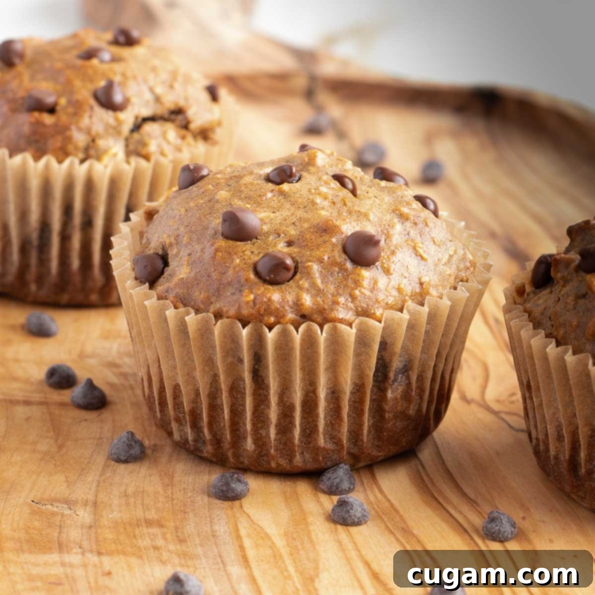 Close up of a banana chocolate chip muffin in unbleached parchment liner, showcasing its moist texture.