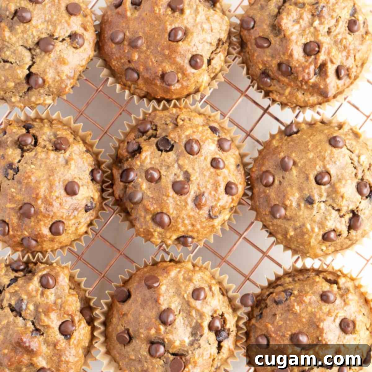 Freshly baked gluten-free banana chocolate chip muffins cooling on a wire rack to maintain perfect texture.