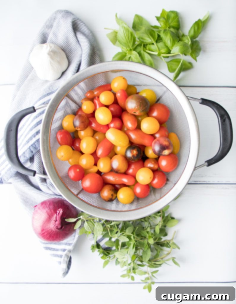Wholesome ingredients: fresh cherry tomatoes, vibrant green herbs, red onion, and garlic cloves.