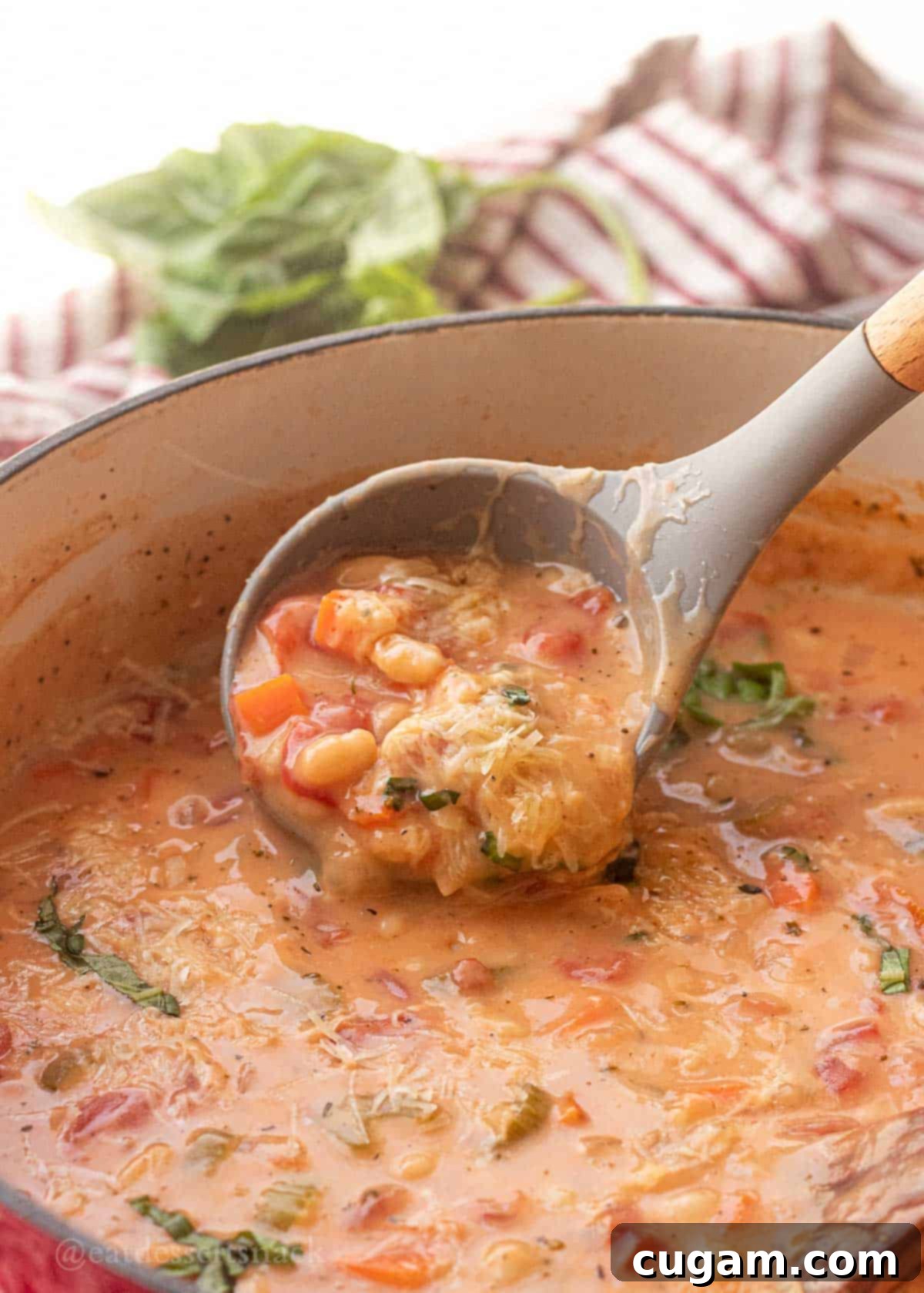 Ladle lifting beans, tomatoes, and carrots over pot of soup.