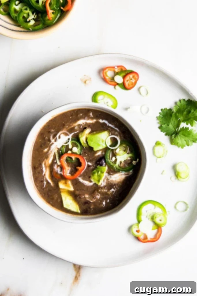 A vibrant bowl of vegan black bean soup, beautifully garnished with a delicate swirl of creamy vegan yogurt and fresh herbs.