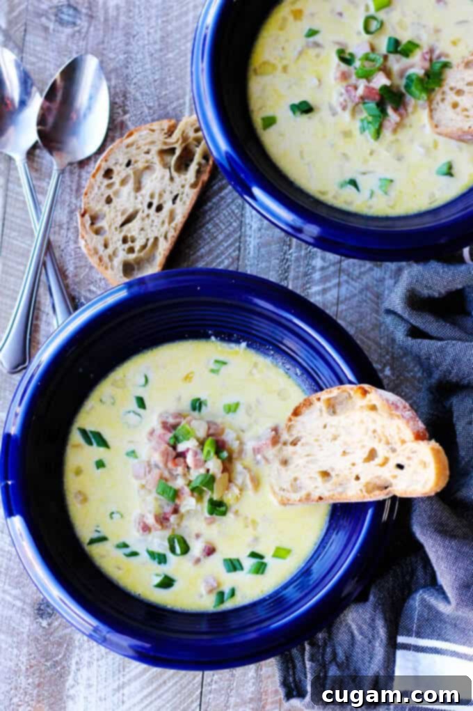 Rich Ham and Cheese Soup with White Wine and Gruyere, served in blue bowls with toasted bread on the side, an overhead shot.