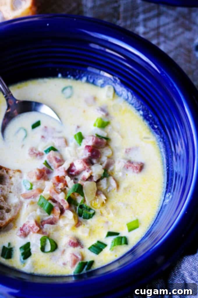Close-up shot of creamy ham and cheese soup with fresh scallions in a blue bowl, spoon on the side.