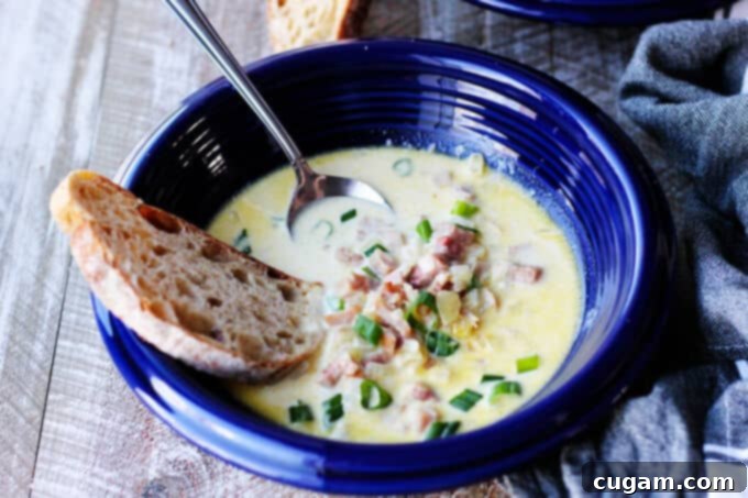 Vertical shot of a blue bowl filled with ham and cheese soup, garnished with scallions, served with bread and a spoon.