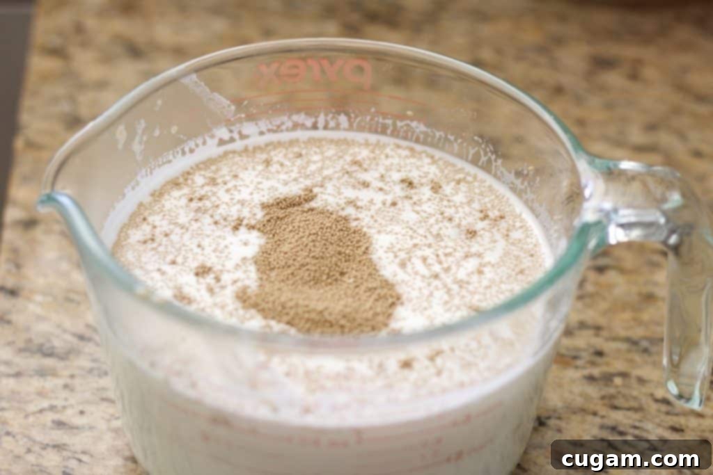 Proofed yeast in a glass measuring cup.