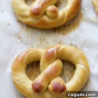 Baked Pretzels in a pan on parchment paper.