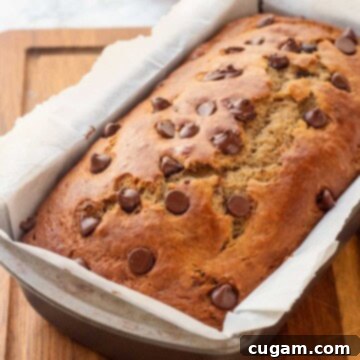 Elevated Sourdough Banana Bread 12 Baked sourdough banana bread in metal pan with chocolate chips on top.