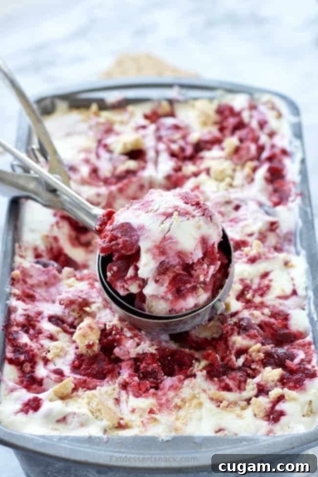 No Churn Cherry Cheesecake Ice cream with graham cracker crumbles, vanilla, sweetened condensed milk, cream cheese, and cherry pie filling. Made with real cream because nothing else will do. Best summer dessert ever! #icecream #nochurnicecream #easydessert #cherrycheesecake #cherrydesserts #cheesecakedessert #fruitfilleddessert #summertreats A scoop of luscious No Churn Cherry Cheesecake Ice Cream, showing the cherry swirls and graham cracker bits, on a baking pan.