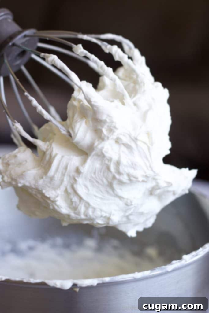 No Churn Cherry Cheesecake Ice cream with graham cracker crumbles, vanilla, sweetened condensed milk, cream cheese, and cherry pie filling. Made with real cream because nothing else will do. Best summer dessert ever! #icecream #nochurnicecream #easydessert #cherrycheesecake #cherrydesserts #cheesecakedessert #fruitfilleddessert #summertreats Fluffy whipped cream on a whisk attachment of a stand mixer, ready to be incorporated into the ice cream base.