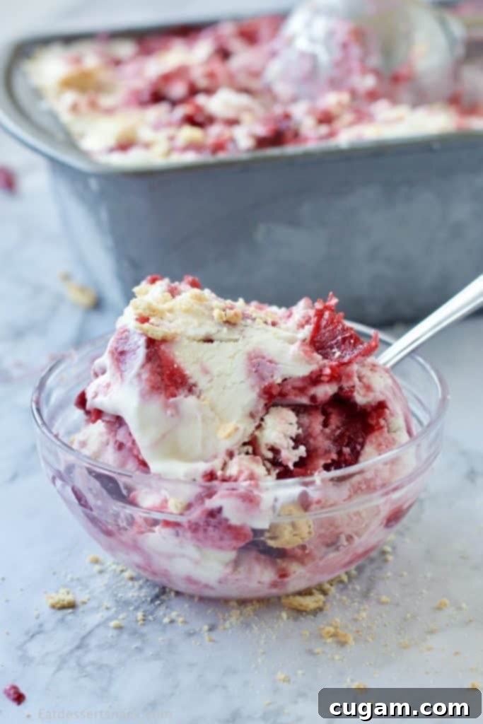 No Churn Cherry Cheesecake Ice cream with graham cracker crumbles, vanilla, sweetened condensed milk, cream cheese, and cherry pie filling. Made with real cream because nothing else will do. Best summer dessert ever! #icecream #nochurnicecream #easydessert #cherrycheesecake #cherrydesserts #cheesecakedessert #fruitfilleddessert #summertreats A glass bowl filled with rich, swirling No Churn Cherry Cheesecake Ice Cream, with a spoon nestled in front of the pan, ready to be enjoyed.
