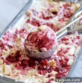 Heavenly No Churn Cherry Cheesecake Swirl 2 A delicious scoop of No Churn Cherry Cheesecake Ice Cream in a pan.