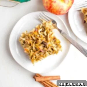 A delectable piece of dairy-free apple noodle kugel, generously dotted with plump raisins, beautifully plated and ready to be savored, showcasing its golden hue and comforting texture.