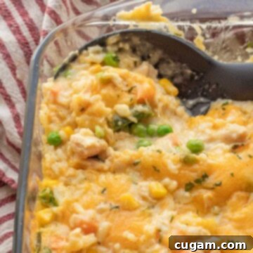 Chicken and Rice Vegetable Casserole 13 Baked Chicken and rice casserole in glass baking dish.