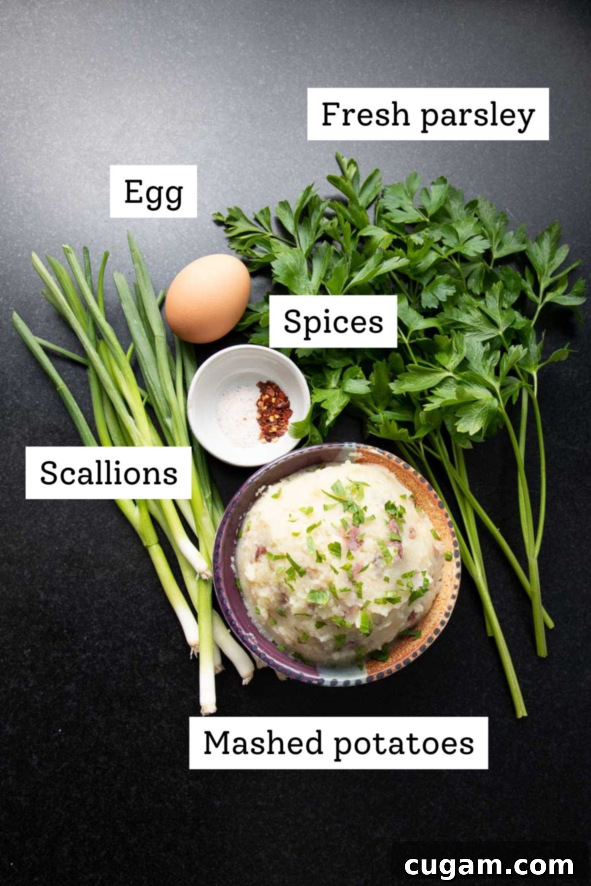 Labeled ingredients: Fresh parsley, egg, spices, scallions, mashed potatoes.