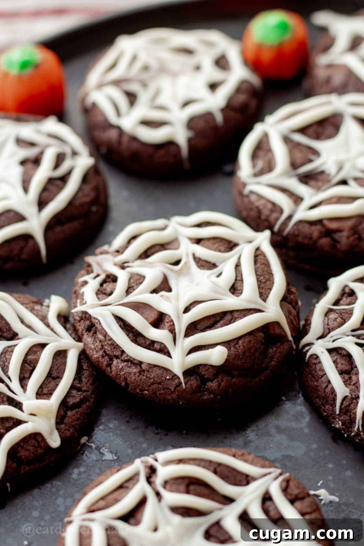 Spooky Spider Web Cookies 2 Baked chocolate spider web cookies on black plate, beautifully decorated with white chocolate webs and optional Halloween sprinkles.