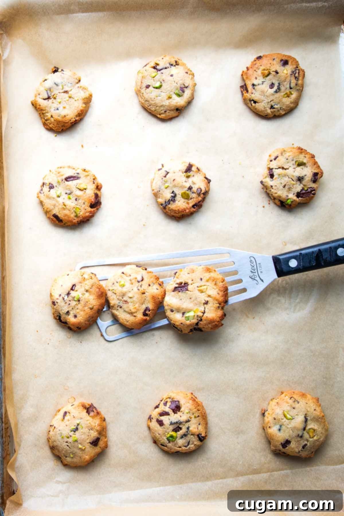 Chewy Vegan Gluten Free Chocolate Chunk Cookies 10 Spatula removing a row of perfectly baked chocolate chunk cookies from a parchment-lined baking sheet.