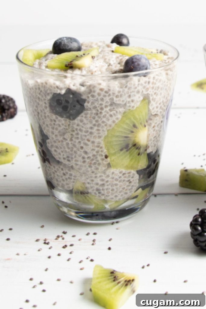 A vibrant chia pudding parfait with chia seeds, kiwi, and berries arranged in layers for a beautiful presentation.