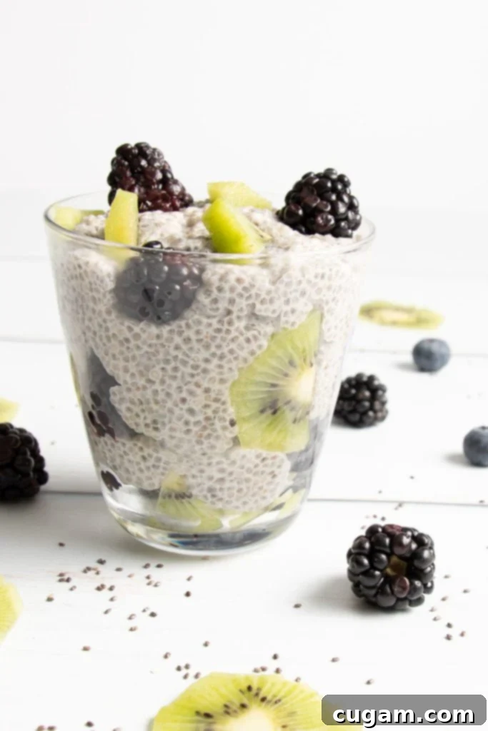 A beautiful chia pudding parfait in a glass with vibrant layers of kiwi and fresh blackberries.