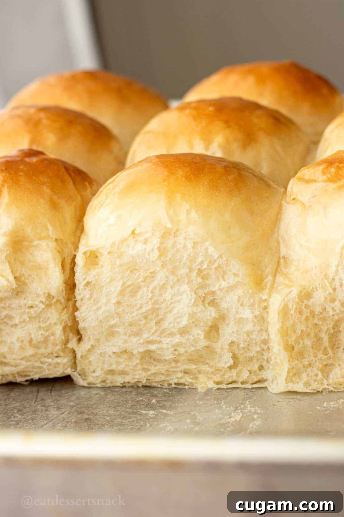 Close-up of freshly baked, golden brown, incredibly soft and fluffy dinner rolls in a large metal baking sheet, glistening and ready to serve.