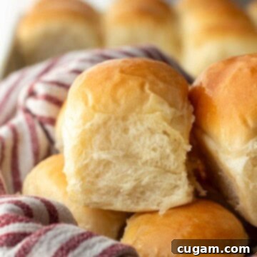 Close-up of a single golden brown, perfectly fluffy old-fashioned yeast dinner roll, showcasing its soft texture and inviting appearance.