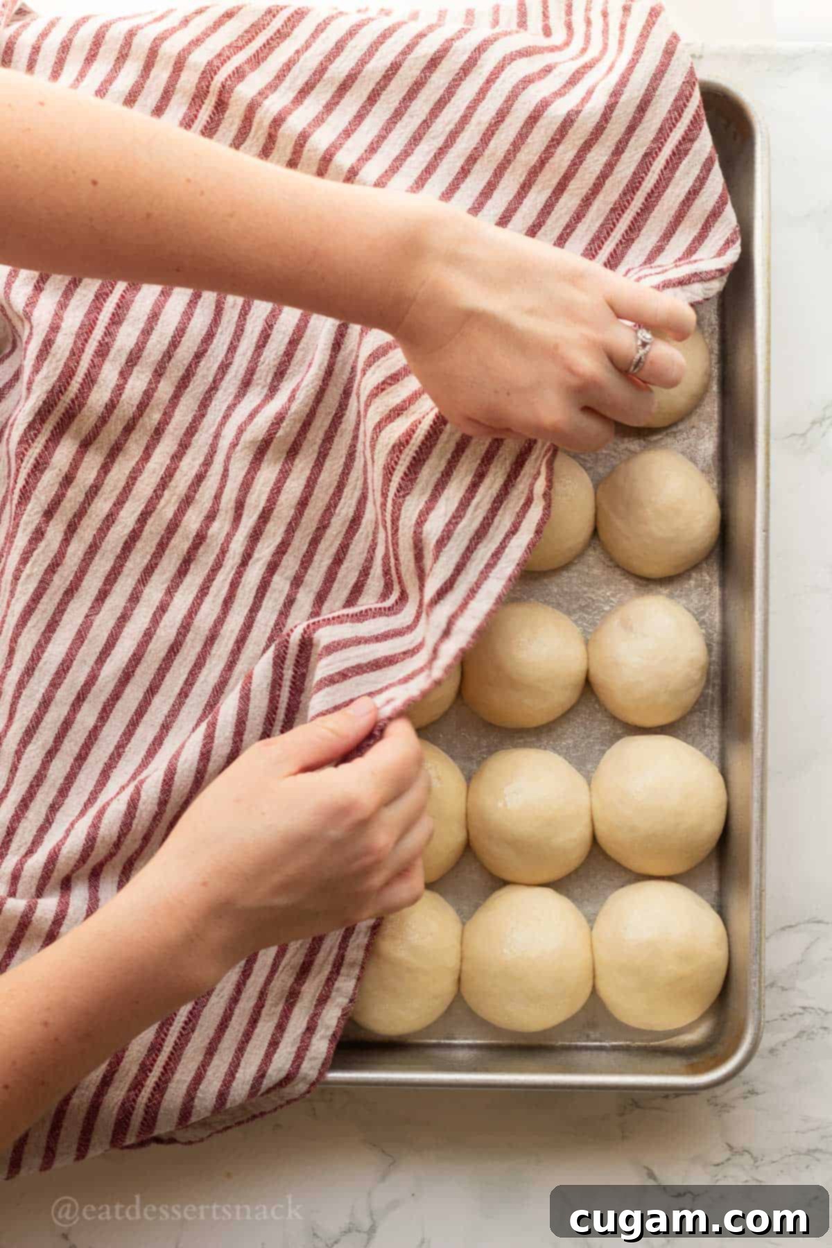 Raw dinner rolls, meticulously arranged in a metal baking pan, gently covered with a clean dish towel to facilitate their second rise.