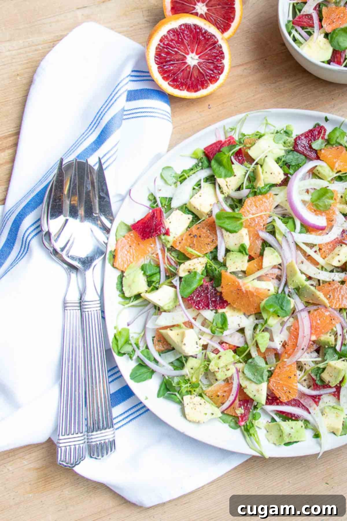 Colorful citrus salad with slices of avocado, fennel and onion too.