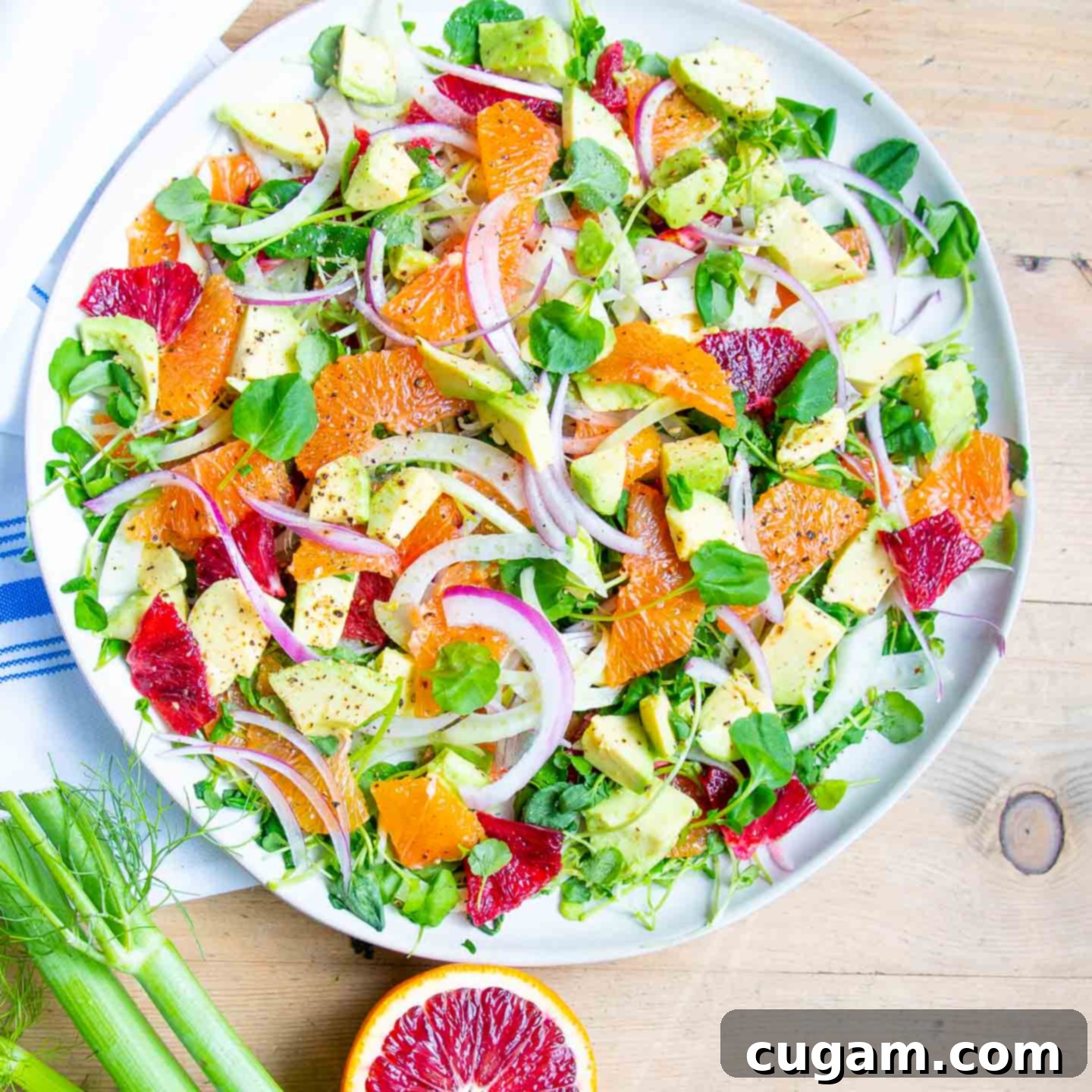 Bright and beautiful oranges, raw fennel slices, purple onions and avocado on top of a bed of watercress.