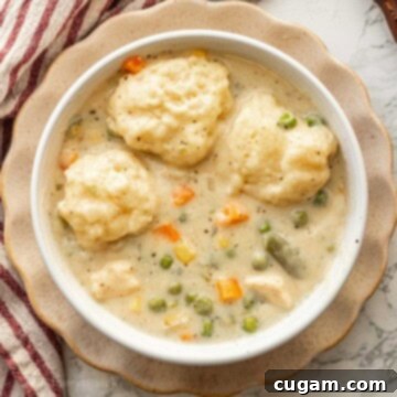 A beautifully presented bowl of cooked creamy chicken and dumpling soup, ready to be enjoyed.