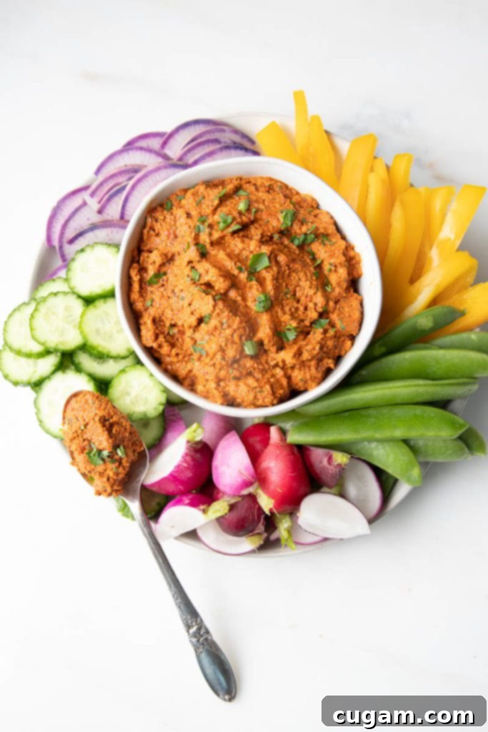 Ruddy Tomato dip with vibrant veggies